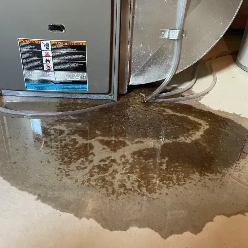 Appliance Leak Cleanup in Riverton, WY